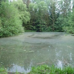 .vijver by day - Scouts en Gidsen Zaventem 